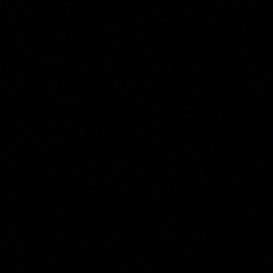 Meet your Posher, Lily